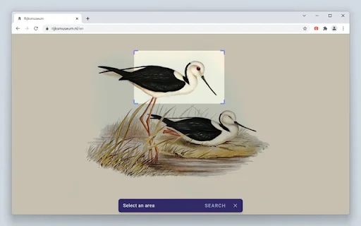 I-download ang Search by Image – Pinakamabilis na Reverse Image Search - Screenshot 4